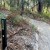 Warrawee - Quick Links