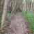 The Steep Bit